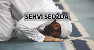 Sehvi sedžda