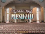 mesdžid, džamija