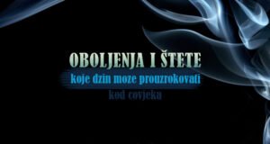 Oboljenja i stete od džina