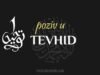 tevhid islam, poziv u tevhid