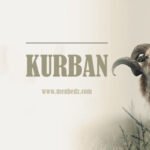 kurban222