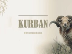 kurban