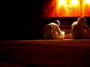 Radosne vijesti strancima Stranci