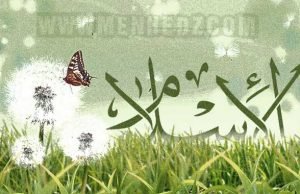 Gdje je tvoj trag!? Islamske slike