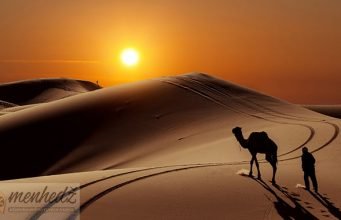 Islamske teme putovanje kamila