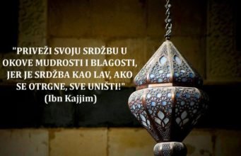 Foto citat: Priveži svoju srdžbu srdzba