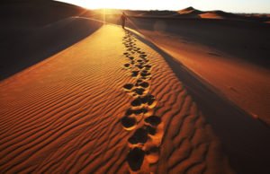 Spoznaja menhedža iz jednog ajeta