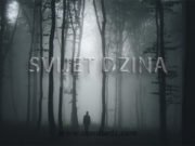 Džini se boje ljudi svijet džina