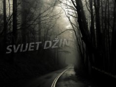 Razlozi zbog kojih se ljudi boje džina