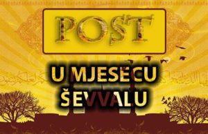 Vrijednost posta šest dana u mjesecu ševalu post u sevvalu