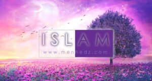 islam, islamski tekstovi, islamske fetve, muslimanka, fetve za žene