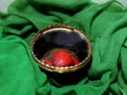 Teberruk Poslanikovom dlakom: Zašto Islamska zajednica u stopu prati sufijske zablude Poslanikova dlaka - pogrešno ubjeđenje