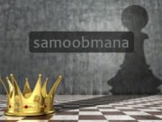 Samoobmana i njene vrste i stepeni: U samoobmanu upadaju četiri vrste ljudi